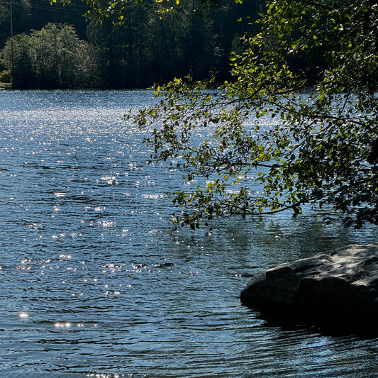 Summer '25 - Happy Drifting